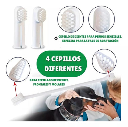 Set Cuidado Dental Bioline Para Perro